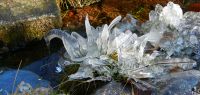 13 von eis ueberzogenes grasbueschel an einem brunnen